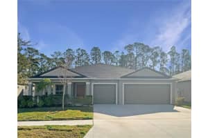 13507 Willow Bluestar Loop, RIVERVIEW