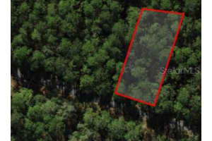 698 VOLTAIRE LOOP, DUNNELLON, FL 34434 - MLS#MFRO6279862