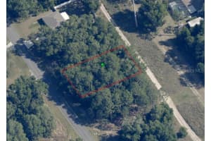 8805 TRAVIS DRIVE, CITRUS SPRINGS, FL 34434 Sold 04/21/25