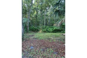 MLS# MFRO6280373, Sanford, Florida 32773