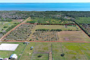 0 DAVIS ROAD, MIMS, FL 32754 - MLS#MFRO6280550