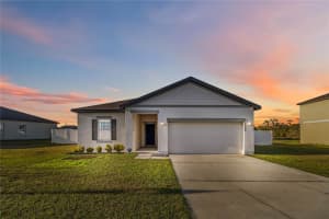 16390 Blooming Cherry Dr, GROVELAND