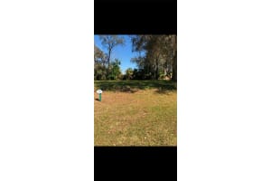 29523 CHAPEL PARK DRIVE, WESLEY CHAPEL, FL 33543 Sold 07/08/25
