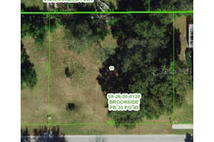 29523 CHAPEL PARK DRIVE, WESLEY CHAPEL, FL 33543 Sold 07/08/25