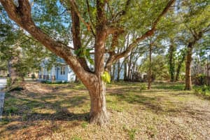 1107 PALMETTO AVENUE, SANFORD, FL 32771 Sold 04/15/25