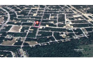 2914 NAEGELIA PLACE, CITRUS SPRINGS, FL 34434 - MLS#MFRO6281027