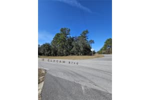 2914 NAEGELIA PLACE, CITRUS SPRINGS, FL 34434 - MLS#MFRO6281027