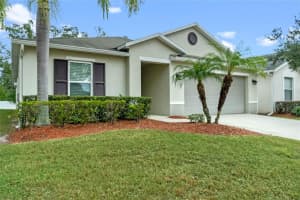921 Emerald Green Ct, KISSIMMEE