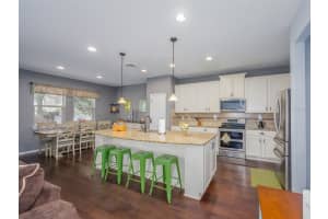 339 CAPRON ASH LOOP, CASSELBERRY, FL 32707 Sold 04/01/25