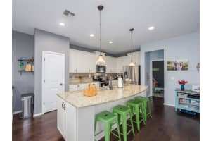 339 CAPRON ASH LOOP, CASSELBERRY, FL 32707 Sold 04/01/25