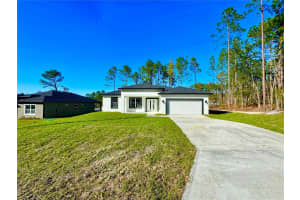 1593 DIAMOND DRIVE, CITRUS SPRINGS, FL 34434 - MLS#MFRO6281732