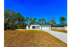 2097 HAMPSHIRE BOULEVARD, CITRUS SPRINGS, FL 34434 - MLS#MFRO6281752