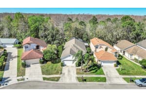11278 PAPYRUS LANE, ORLANDO, FL 32821 Sold 05/12/25
