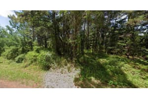 OAK LANE TRAK, OCALA, FL 34472 - MLS#MFRO6281871