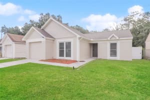 10003 TURKEY TROT PLACE, TAMPA, FL 33637 - MLS#MFRO6281979