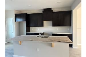 9356 BOLSHOI ALLEY, WINTER GARDEN, FL 34787 Sold 04/29/25