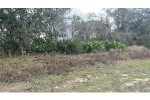 400 MULBERRY COURT, KISSIMMEE, FL 34759 Sold 04/03/25