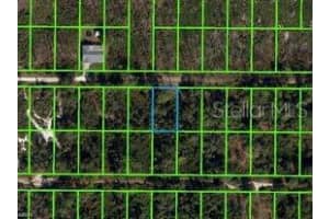 222 VIREO AVENUE, SEBRING, FL 33870 - MLS#MFRO6282270