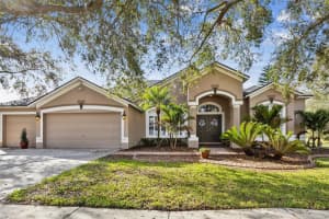 4319 GENTRICE DRIVE, VALRICO, FL 33596 Sold 03/25/25