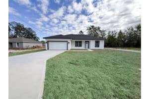 225 Malauka Run N, OCKLAWAHA