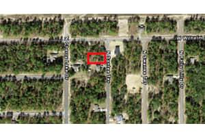 9918 N SANTEE TER, CITRUS SPRINGS, FL 34433 - MLS#MFRO6282418