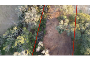 FLORIDA BOYS RANCH RD, GROVELAND, FL 34736 - MLS#MFRO6282540