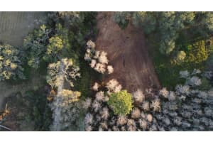 FLORIDA BOYS RANCH RD, GROVELAND, FL 34736 - MLS#MFRO6282540