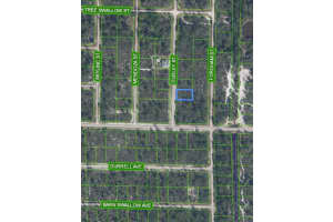 1105 RAMIRO STREET, LAKE PLACID, FL 33852 Sold 04/09/25
