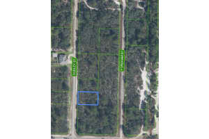 1105 RAMIRO STREET, LAKE PLACID, FL 33852 Sold 04/09/25