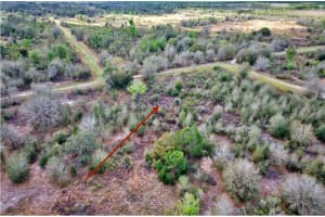 3200 JURGENSON ROAD, AVON PARK, FL 33825 Sold 05/30/25