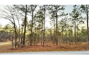 00 SE 130TH, DUNNELLON, FL 34431 - MLS#MFRO6283168