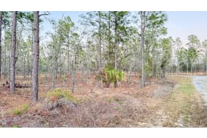 00 SE 130TH, DUNNELLON, FL 34431 - MLS#MFRO6283168