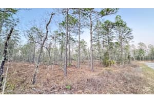 00 SE 130TH, DUNNELLON, FL 34431 - MLS#MFRO6283168