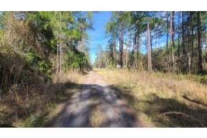 13395 65TH COURT, CITRA, FL 32113 Sold 07/28/25