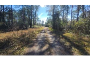 13395 65TH COURT, CITRA, FL 32113 Sold 07/28/25