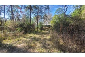 13395 65TH COURT, CITRA, FL 32113 Sold 07/28/25