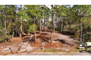10433 TROUT ROAD, ORLANDO, FL 32836 Sold 07/30/25