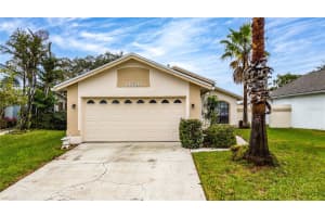11320 PINK BLOSSOM COURT, ORLANDO, FL 32821 Sold 04/11/25