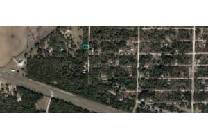 NE 110TH CT, WILLISTON, FL 32696 - MLS#MFRO6283507