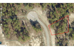 00 SW 84TH TERRACE RD, OCALA, FL 34473 Sold 05/05/25