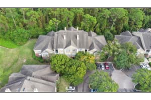 13013 MULBERRY PARK DRIVE, ORLANDO, FL 32821 Sold 05/28/25