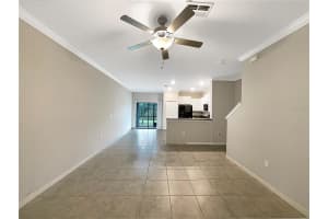 1526 CASSIUS STREET, LUTZ, FL 33549 - MLS#MFRO6284289
