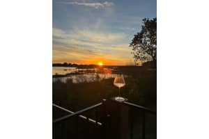 14544 AVENUE OF THE RUSHES, WINTER GARDEN, FL 34787 - MLS#MFRO6284440