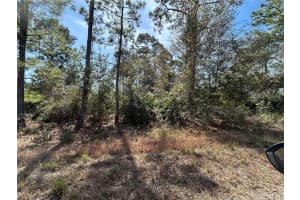 3420 WESTERN TANAGER STREET, LAKE PLACID, FL 33852 Sold 05/23/25