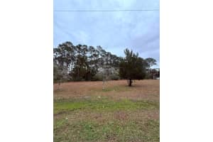 245 ULLIAN TRAIL, PALM COAST, FL 32164 - MLS#MFRO6284658
