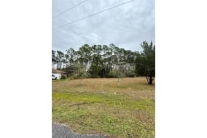 245 ULLIAN TRAIL, PALM COAST, FL 32164 - MLS#MFRO6284658