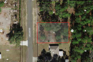 7147 VARSITY AVENUE, CITRUS SPRINGS, FL 34434 Sold 04/28/25