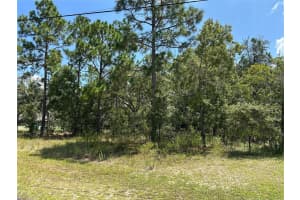 7147 VARSITY AVENUE, CITRUS SPRINGS, FL 34434 Sold 04/28/25