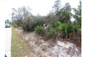 71 ORCHID COURT, KISSIMMEE, FL 34759 - MLS#MFRO6285113