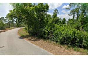623 CUNNINGHAM STREET, LAKE PLACID, FL 33852 - MLS#MFRO6285209
